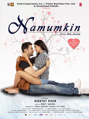 Namumkin Tere Bin Jeena 2020 Movie | Dubbed Hindi Movie HDRip x264 [740MB]